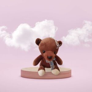 Colourful teddy bears