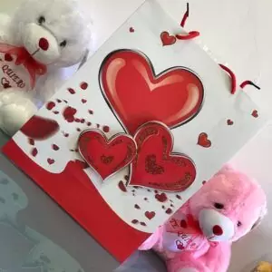 Bolsas de regalo de papel