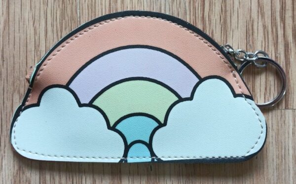 rainbow coin purse