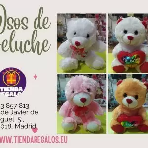 osos de peluches de distintos colores
