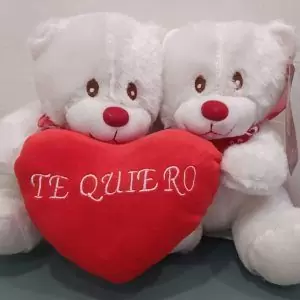 ositos peluche corazón