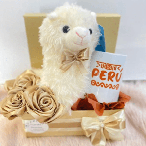 Caja de regalo inspirada en Perú!