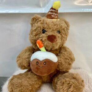 Osito de peluche con pastel de cumpleaños